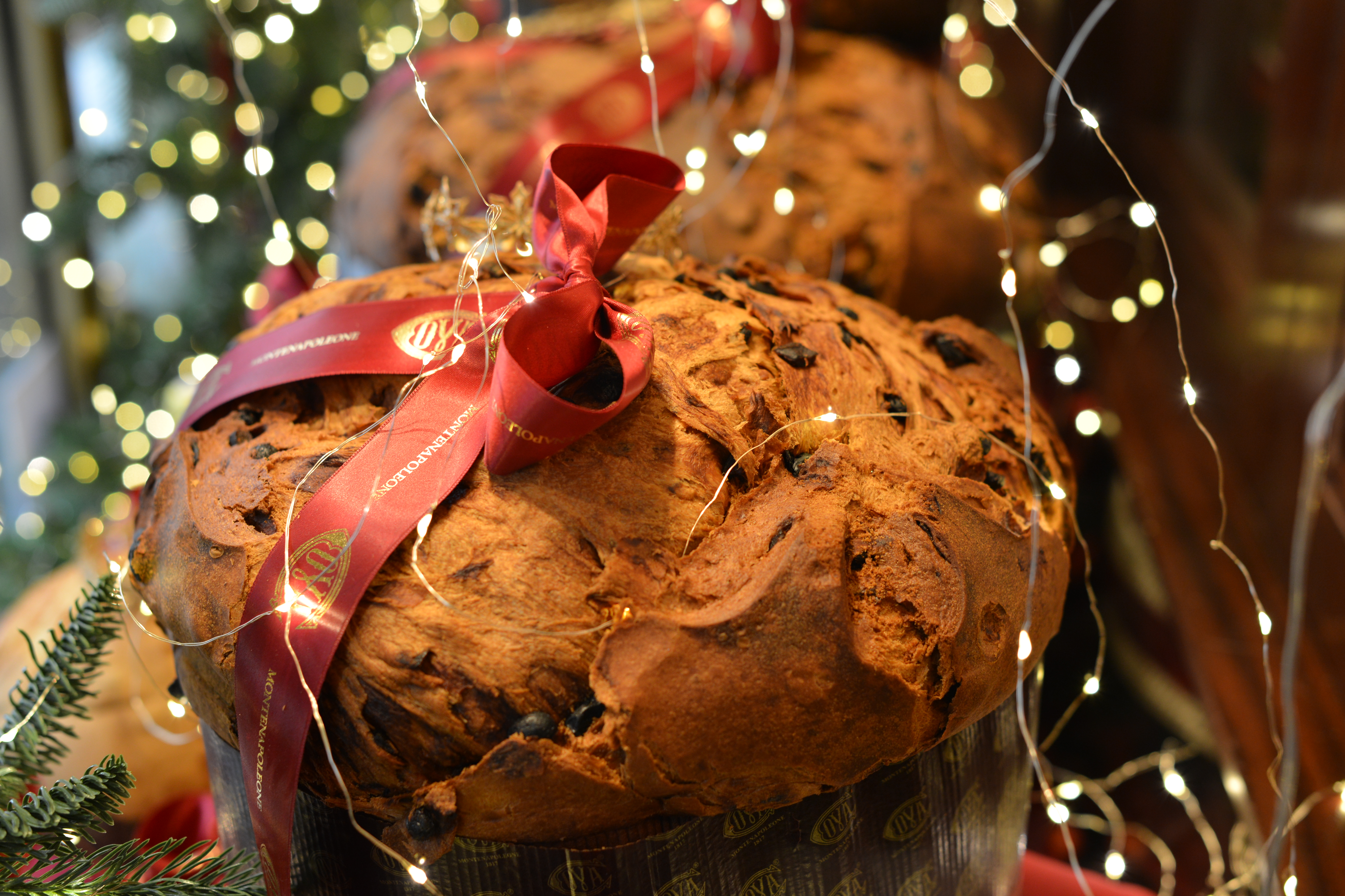 Panettone