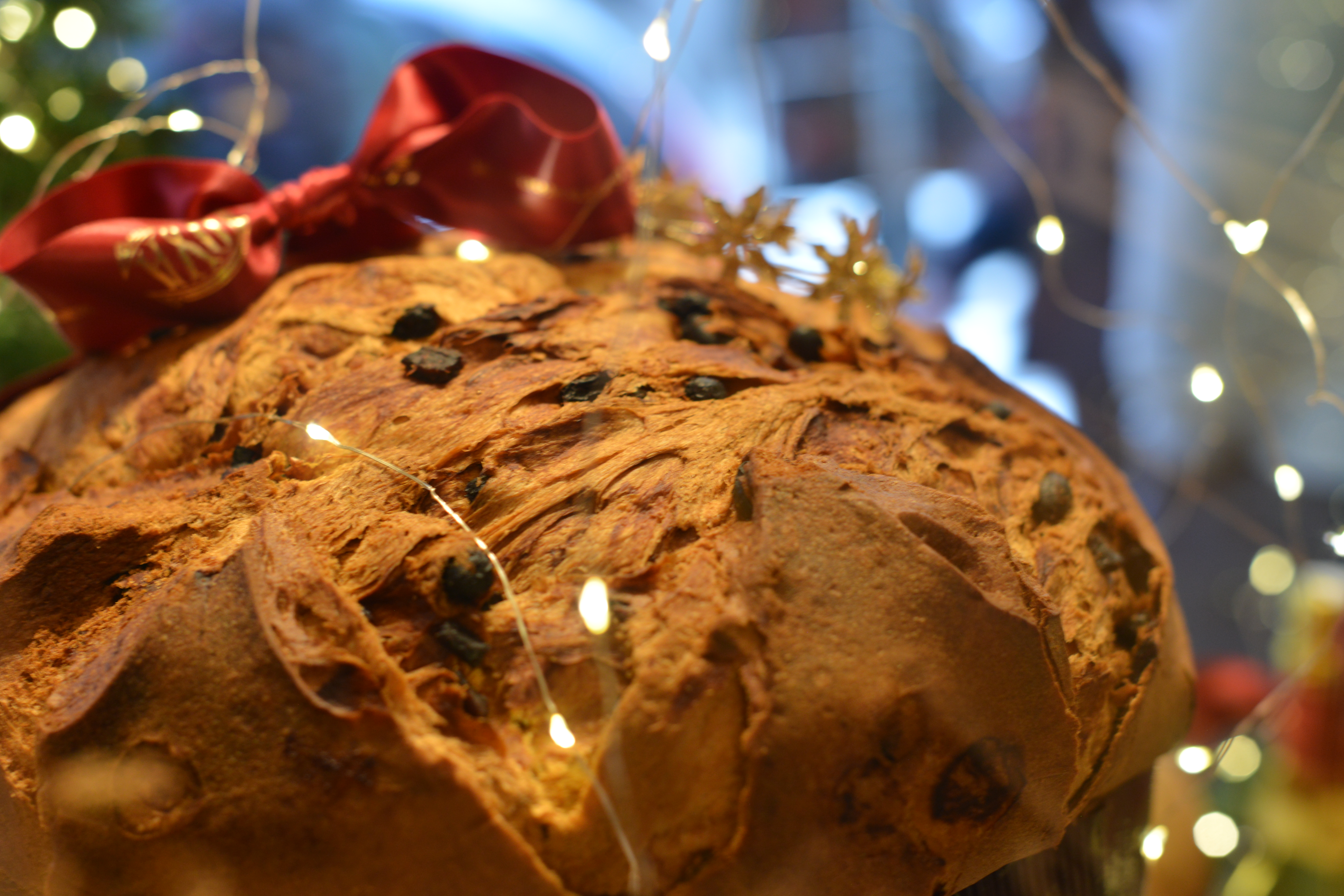 Panettone yakın çekim